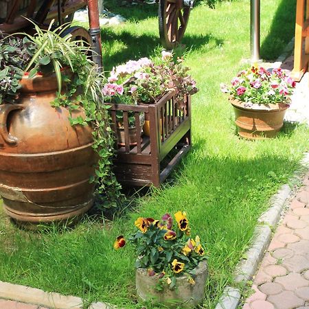 Pension Tip-Top Târgu-Mureş المظهر الخارجي الصورة