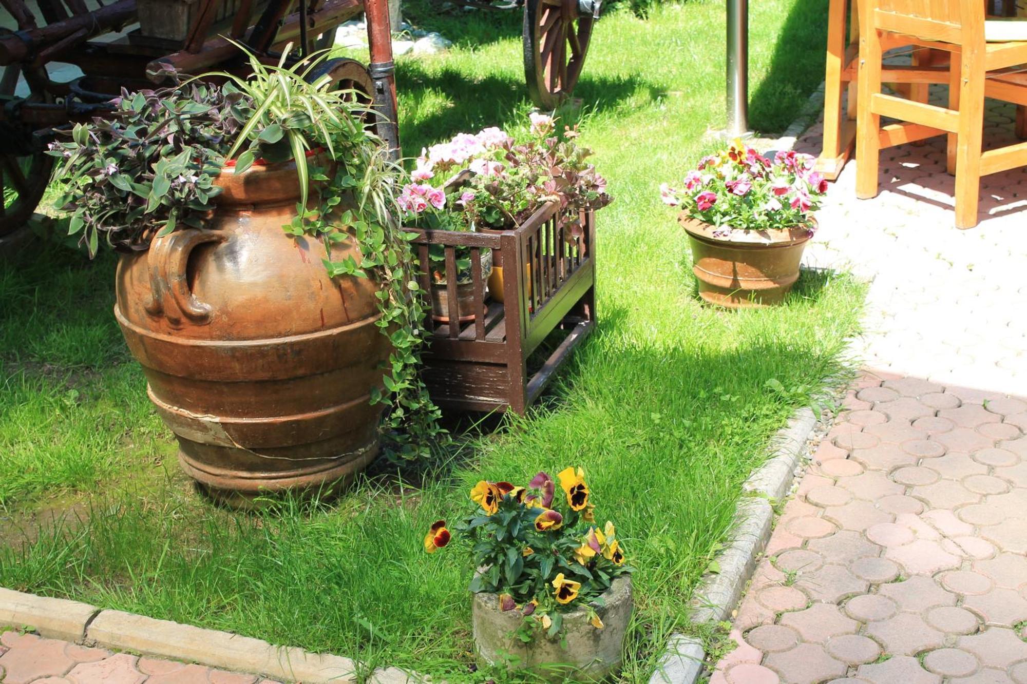 Pension Tip-Top Târgu-Mureş المظهر الخارجي الصورة